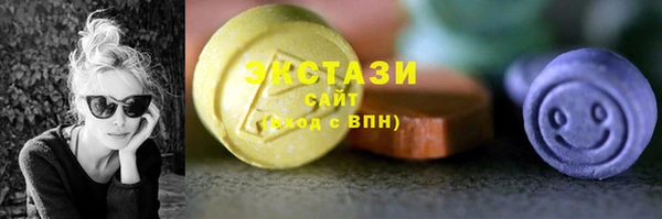 стафф Касимов