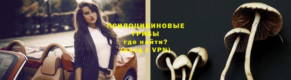 стафф Касимов