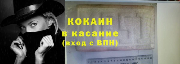 стафф Касимов