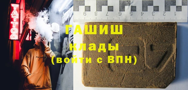 стафф Касимов
