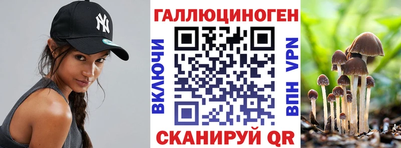 Купить где Прохладный Псилоцибиновые грибы MAGIC MUSHROOMS